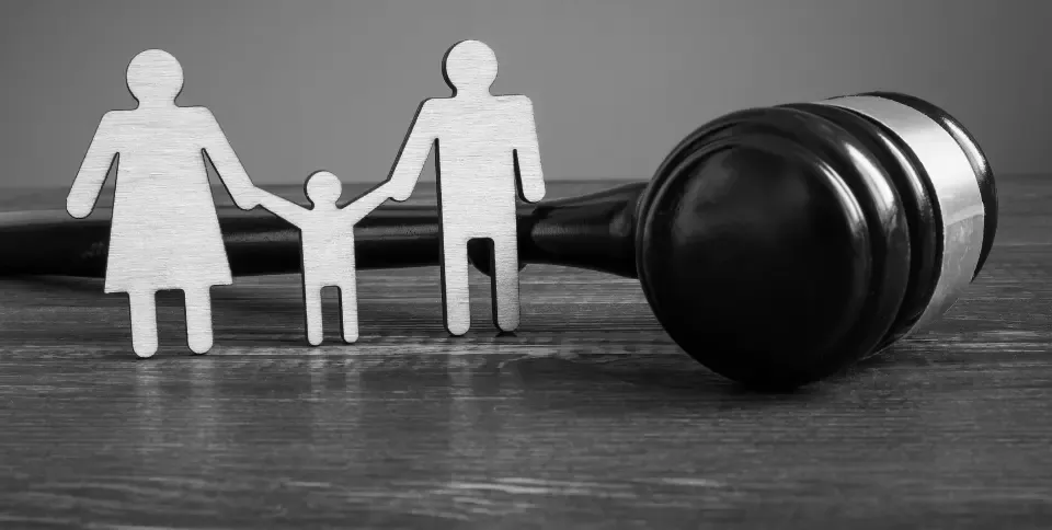 Aile Hukuku Çalışma Alanları